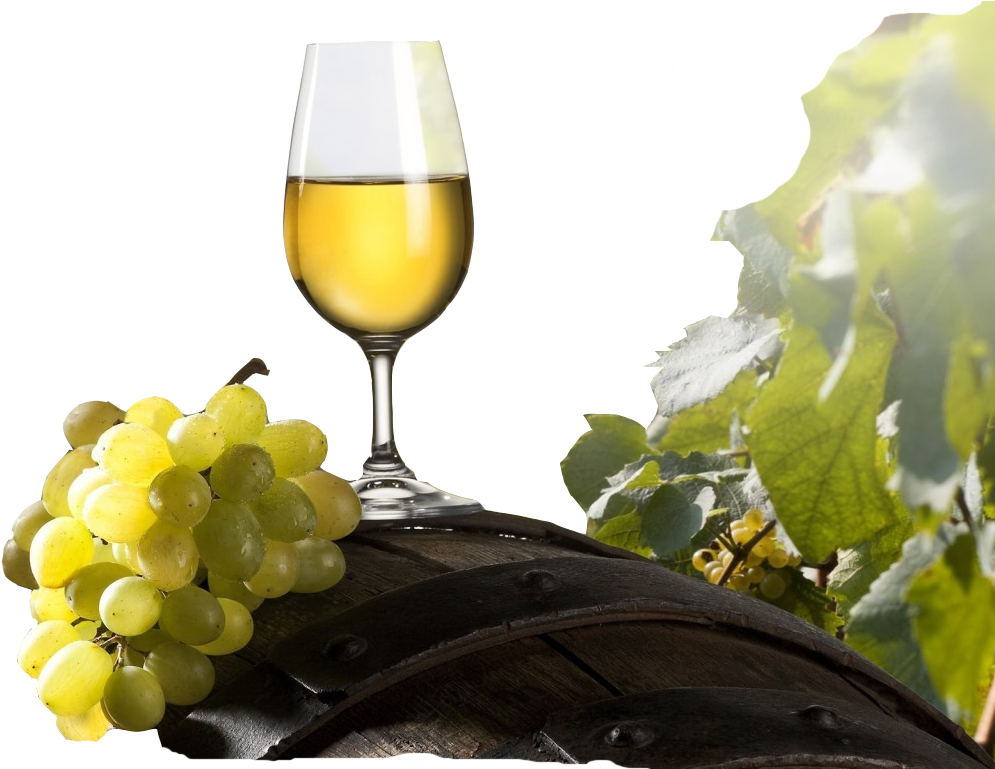 Wine Png Image - Grapes And Wine Png (1024x768), Png Download