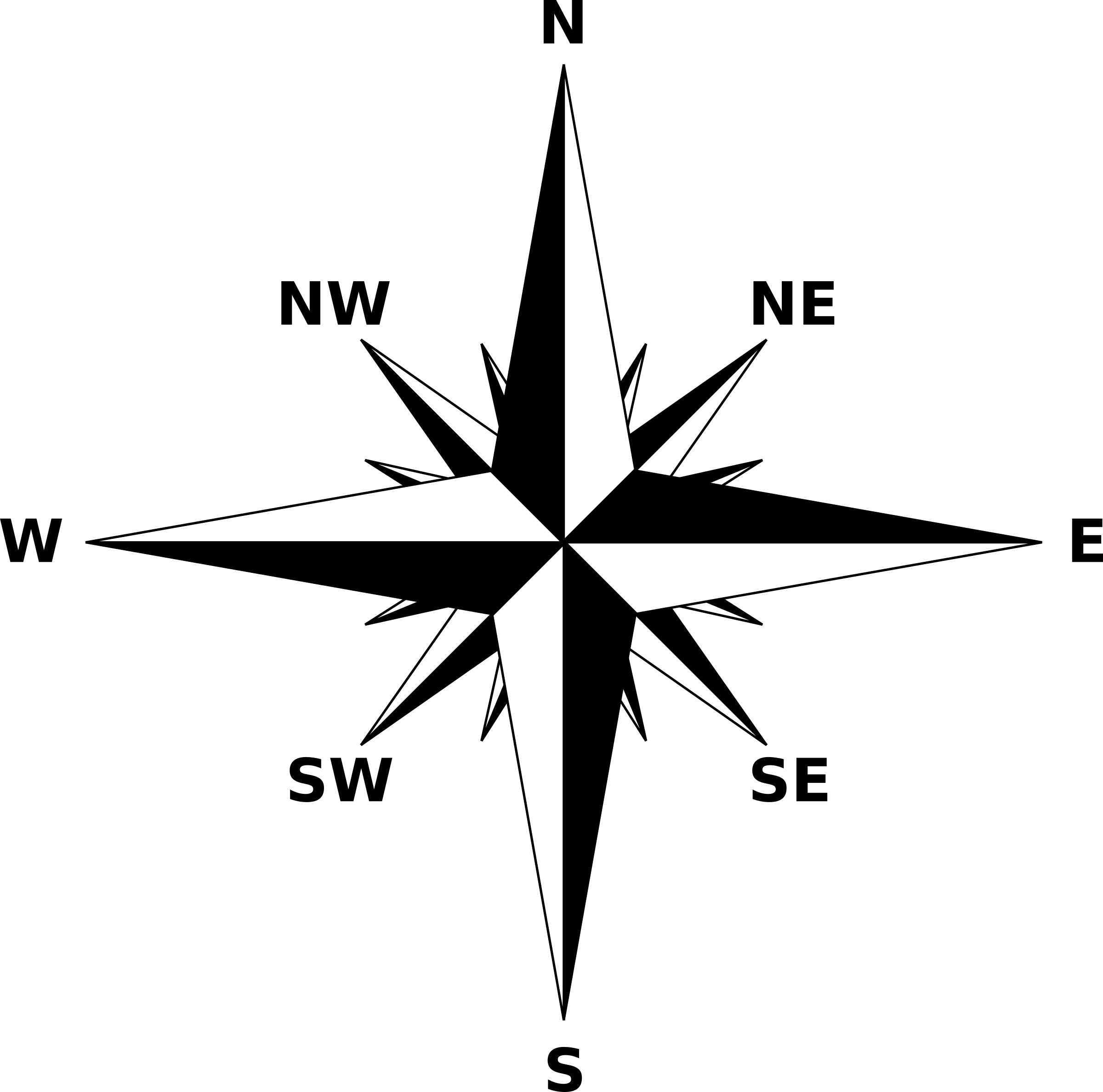 Free Download Compass - Compass Rose Small (2400x2377), Png Download