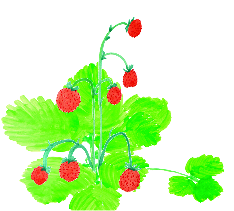 Strawberries Watercolor Handpainted - Watercolor Painting (1280x961), Png Download