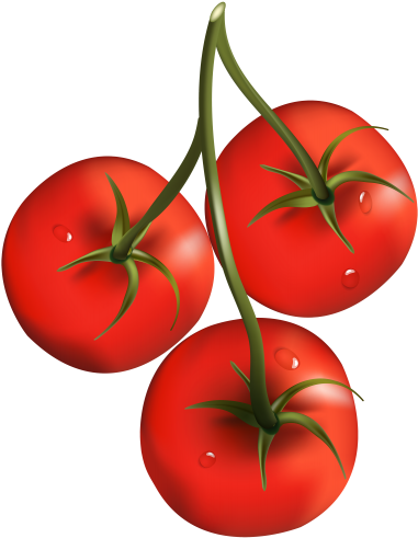 Pin By Penny Lane On Fruits & Veggies Of All Kinds - Cherry Tomatoes Clip Art (388x500), Png Download