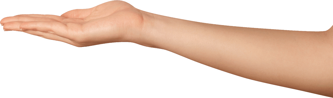 Arm Png - Arm Transparent (1127x332), Png Download