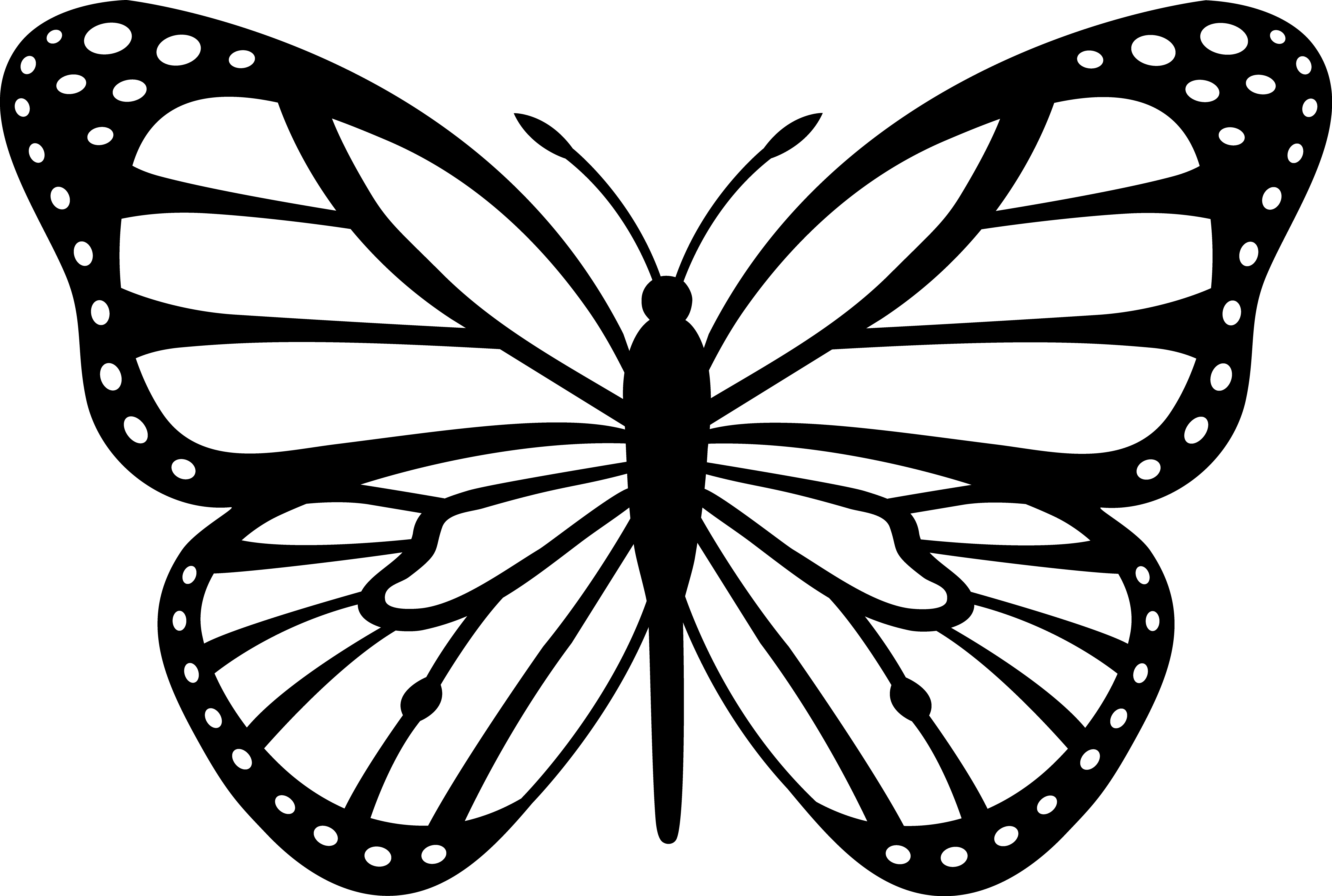 28 Collection Of Butterfly Png Drawing - Clipart Black And White Butterfly (600x404), Png Download