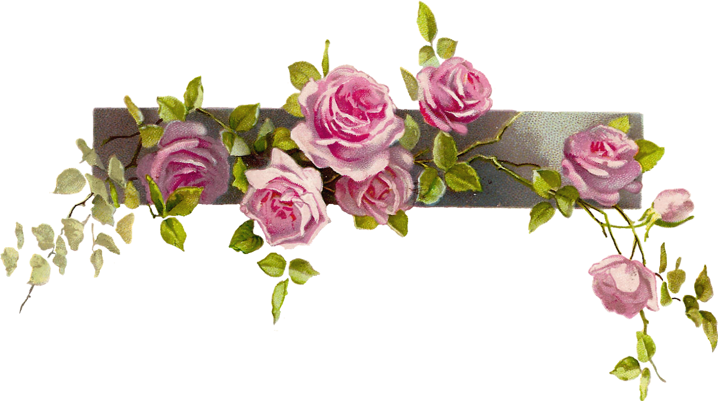 Rose Line Free Images At Clker Com Vintage Flower Border Png Full Size Png Download Seekpng