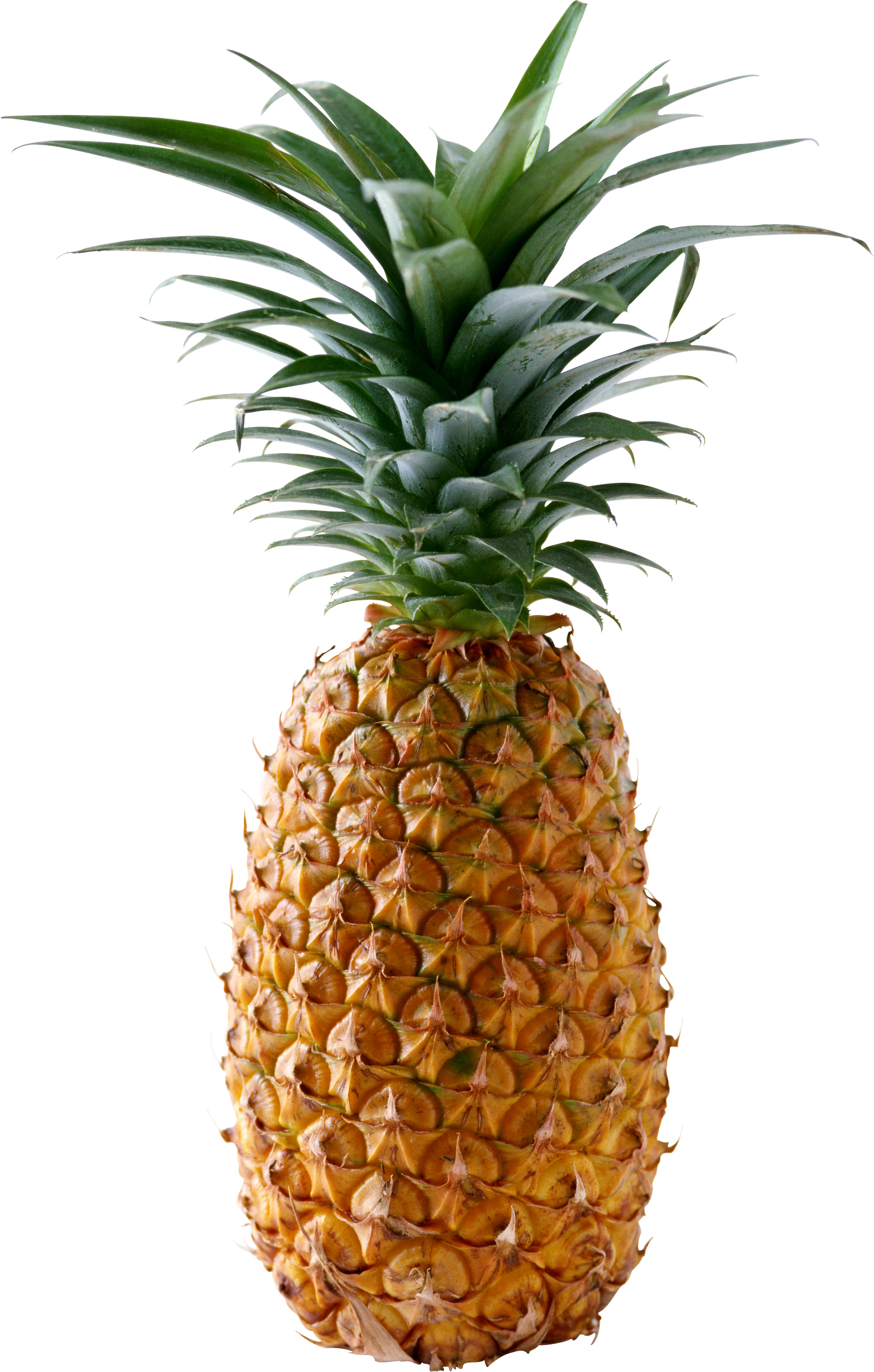 Pineapple Png Hd (777x1220), Png Download