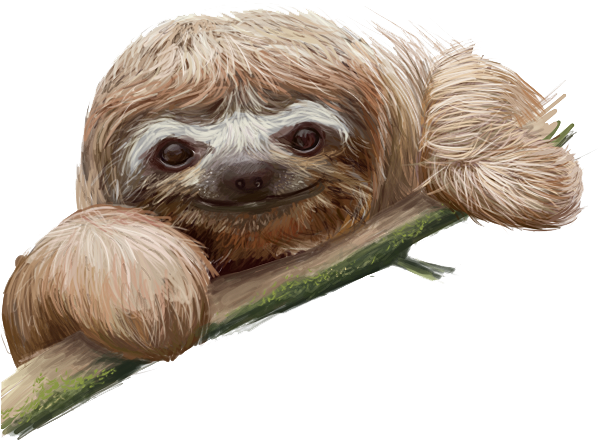 Sloth Transparent Images All Clip Art - Sloth Transparent Background (613x455), Png Download
