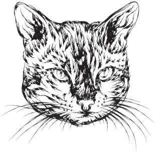 Hand Drawn Cat Illustration, Cat, Hand, Illustration - Drawing (360x360), Png Download
