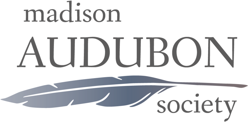 Mas-gradientlogo - Portable Network Graphics (1000x495), Png Download