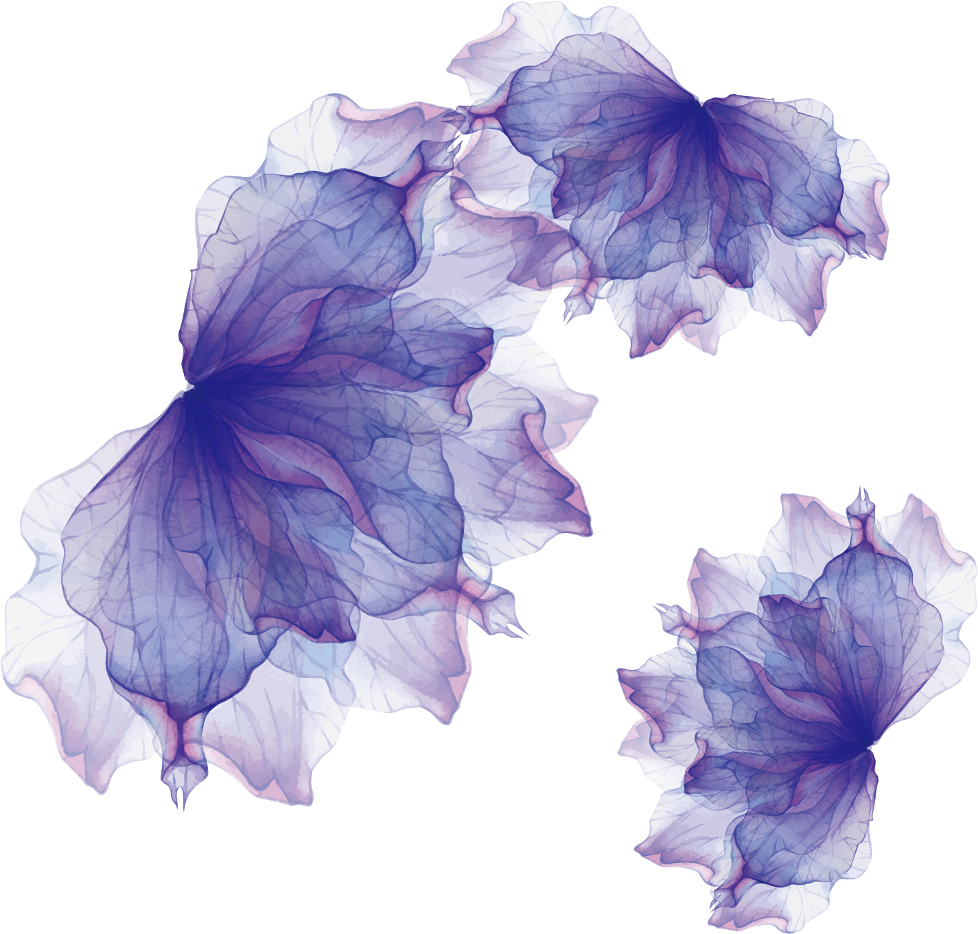 Adobe Illustrator Euclidean Lavender - Lavender Floral Png (1500x1500), Png Download