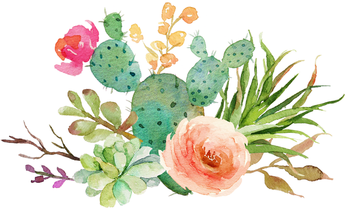 Wedding Invitation Paper Succulent Plant Watercolor - Cactus Invitations Baby Shower (700x432), Png Download