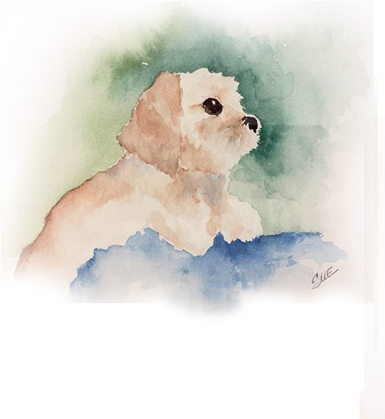Clipart Transparent Download Sue Greco Paints Artist - Watercolor Paint (900x620), Png Download