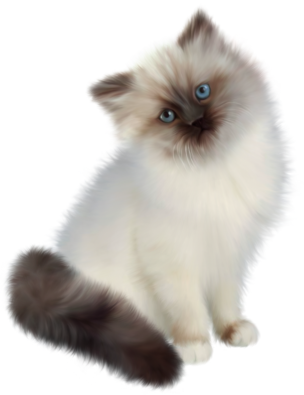 Kitten Transparent Background (976x1288), Png Download