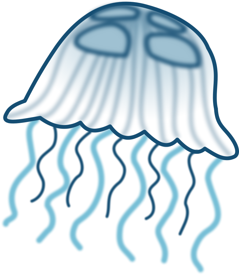 Free Vector Jellyfish - Jellyfish Clipart (696x800), Png Download