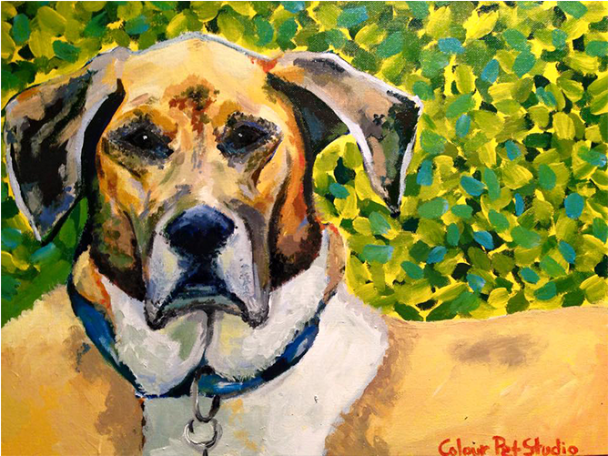 Latest Projecs - Great Dane (826x500), Png Download