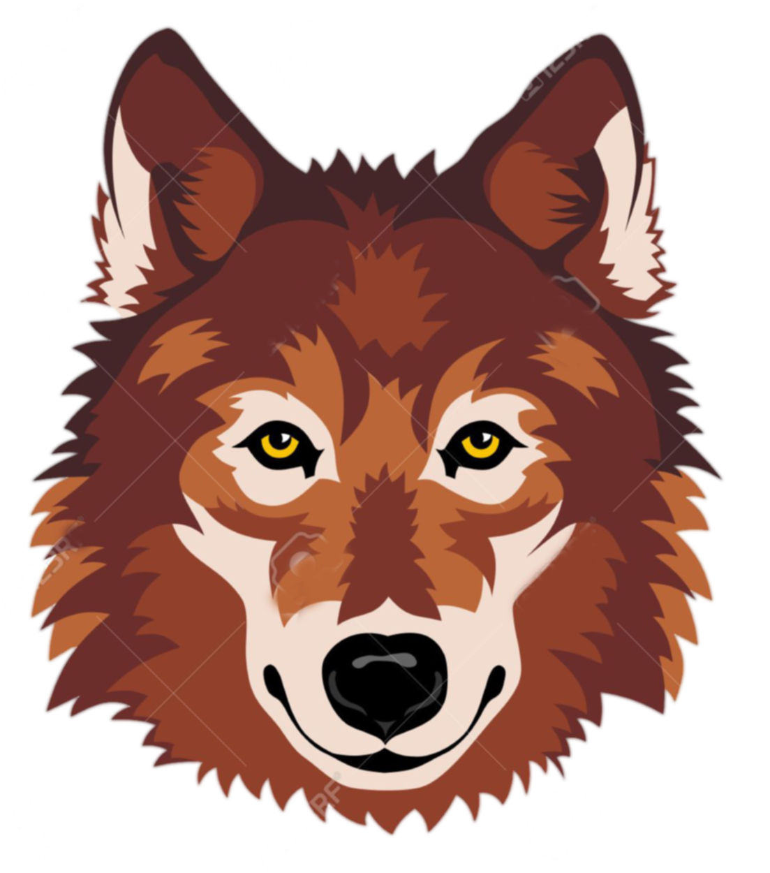 Png Imges Free Download - Wolf Face Clip Art (1138x1300), Png Download
