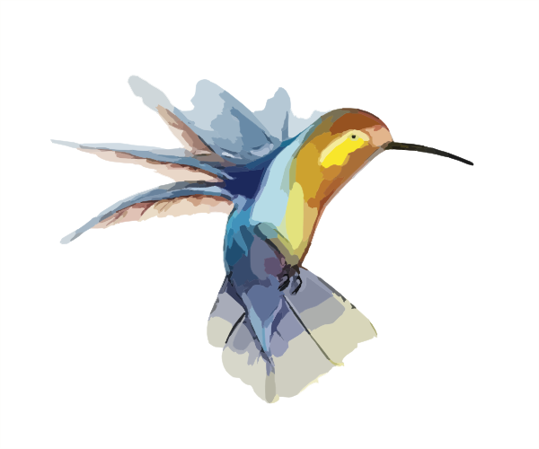 Native American Hummingbird Symbol (600x500), Png Download