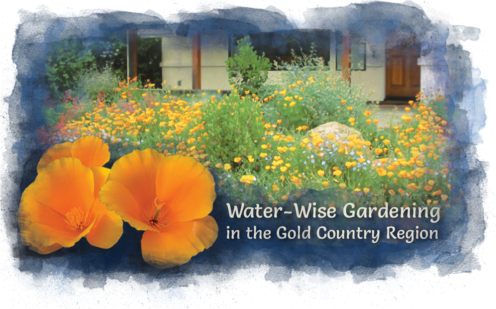 Waterwise Gardening, Llc (996x664), Png Download