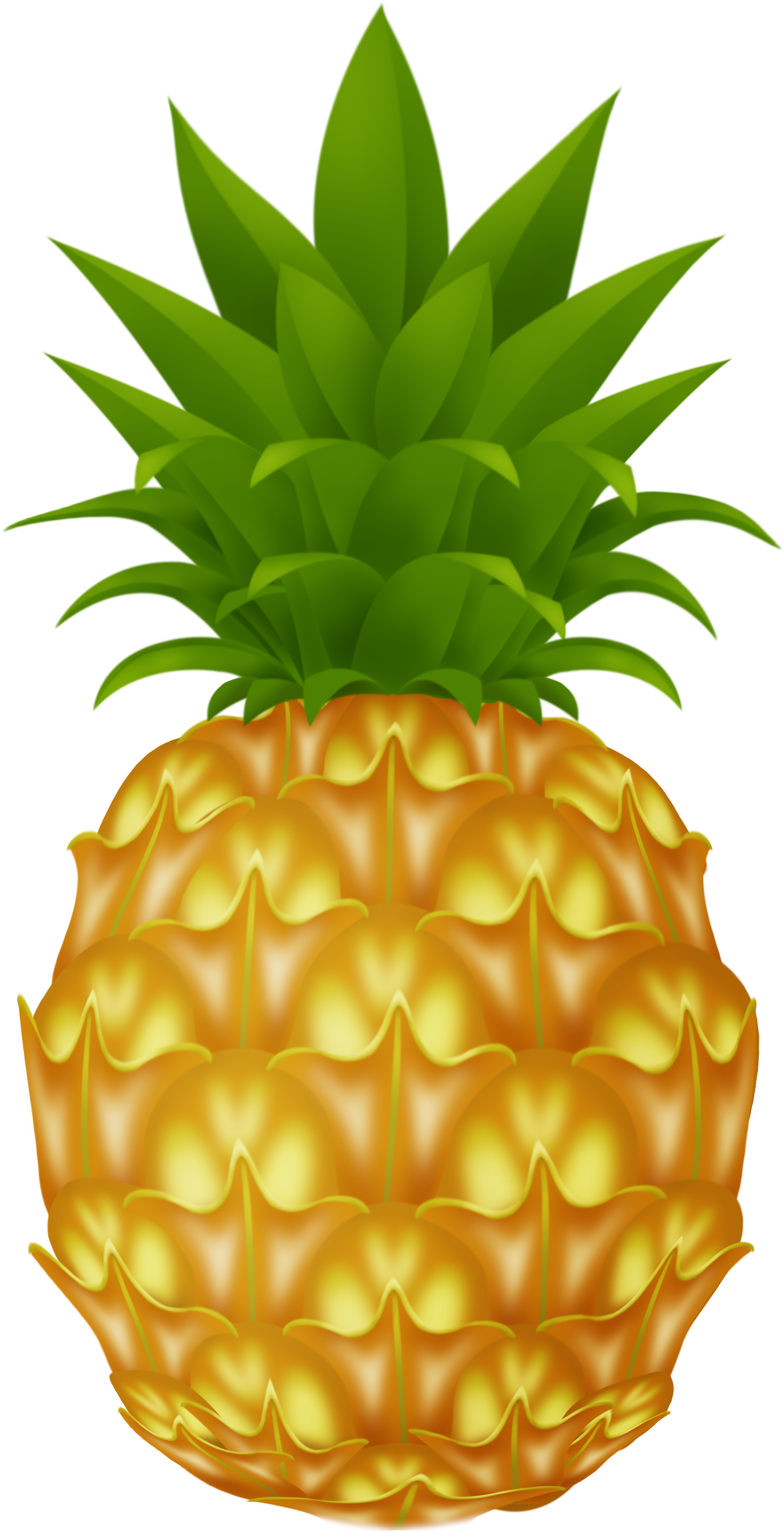 Free Png Pineapple Png Images Transparent - Cartoon Pineapple Png (480x874), Png Download