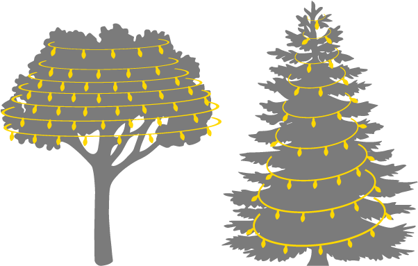 Christmas Tree Light Installation - Pine Tree Silhouette Free (633x414), Png Download