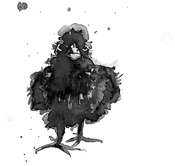 Classes Crow - Illustration (360x342), Png Download