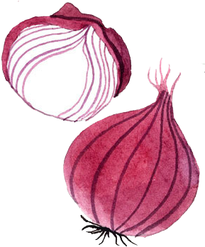 Png Free Stock Small Drawing Watercolor - Onion Watercolor Png (500x500), Png Download