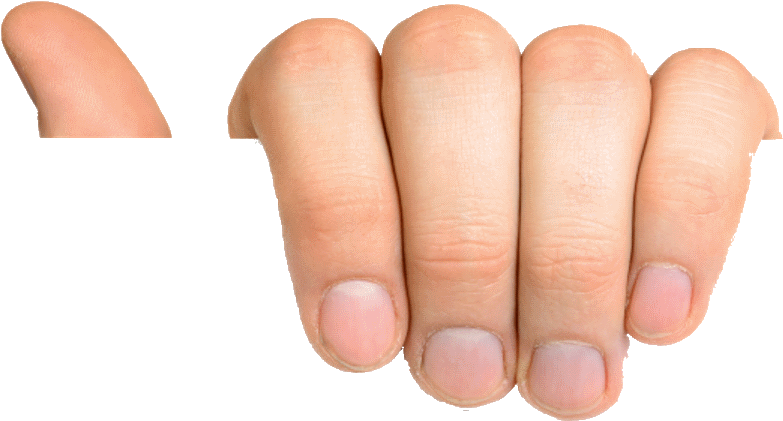 Mole Risk Test - Hand Holding Paper Png (1106x732), Png Download