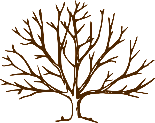Bare Tree Clip Art Vector Online Royalty - Draw A Winter Tree (600x477), Png Download