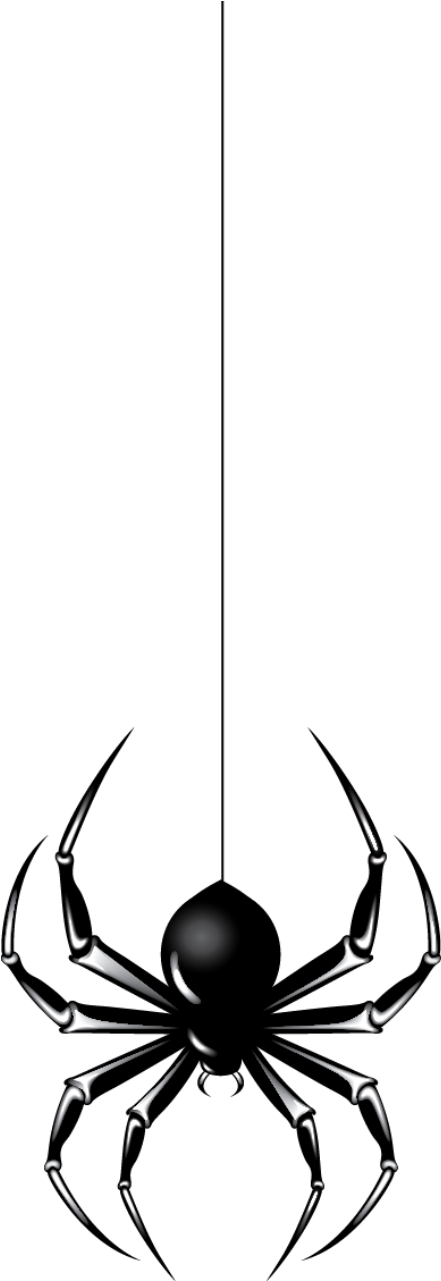 Http - //gallery - Yopriceville - Com/var/resizes/free - Spider Hanging From Web Png (213x600), Png Download