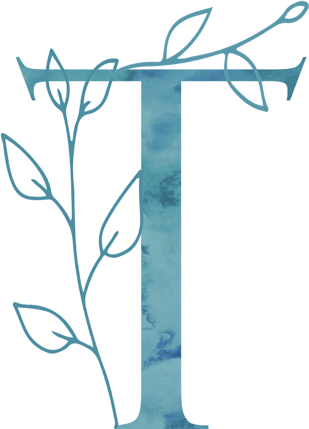 Designed To Thrive Creative - Drawing (914x915), Png Download