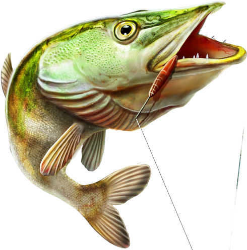 Fishing Png - 3d Fishing Png (500x500), Png Download