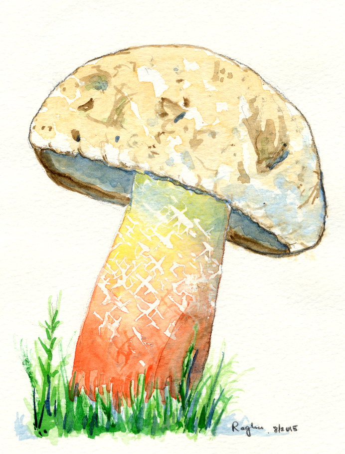 A Recent Article In Physical Review Letters Reports - Visual Arts (692x910), Png Download