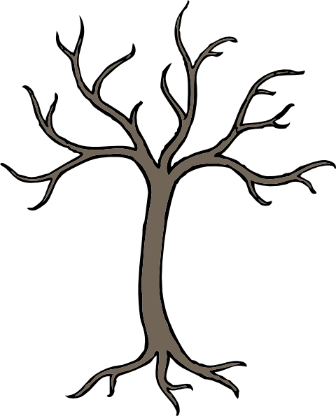 Branches On A Tree (480x595), Png Download