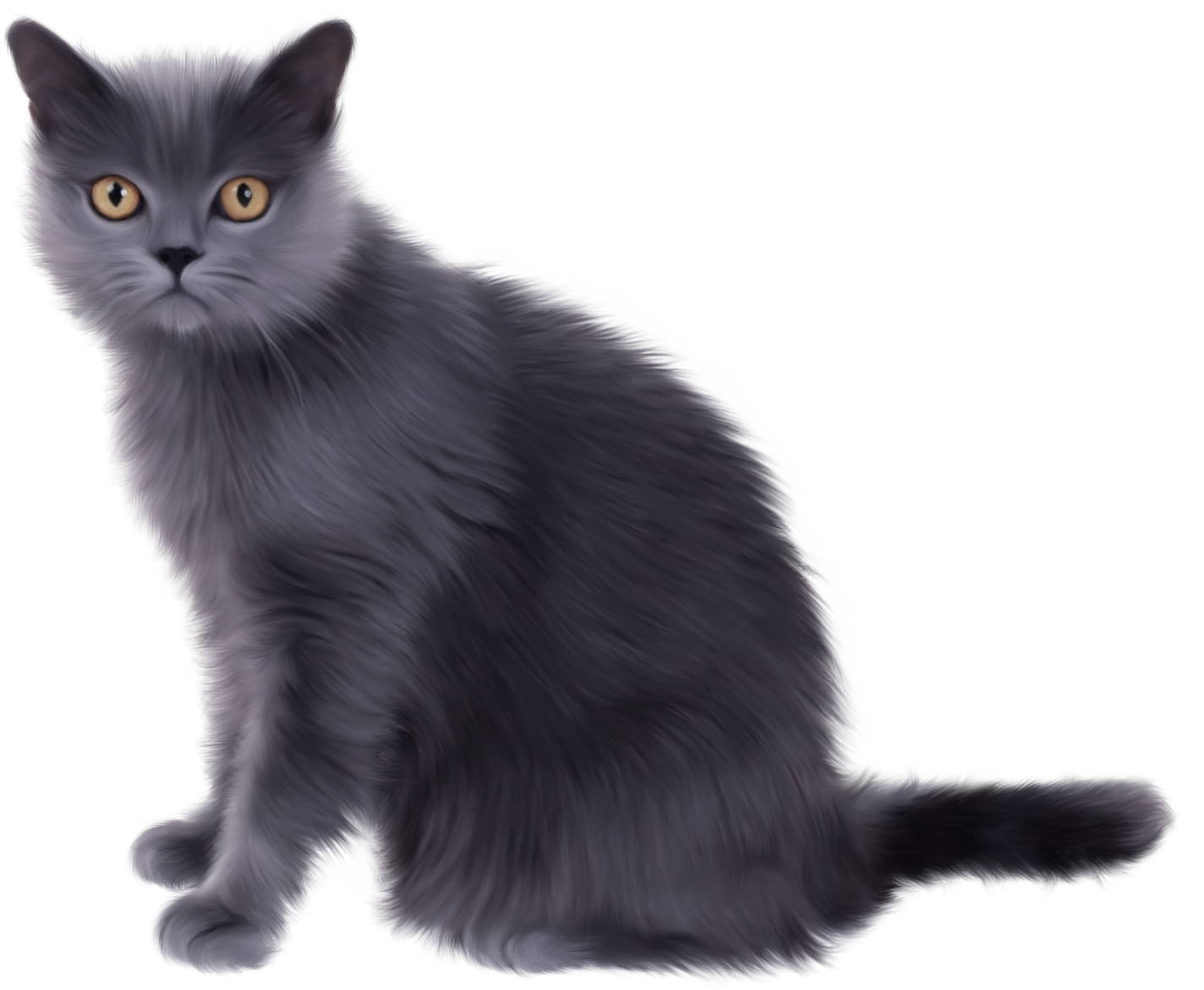 Persian Cat Clipart Transparent White - Cat Clip Art Real (600x494), Png Download