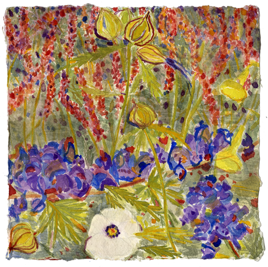 Watercolor - Iris (542x540), Png Download