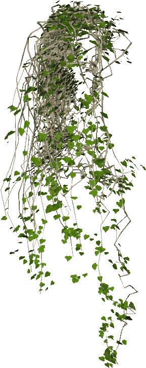 Free Icons Png - Hanging Plants Png (299x734), Png Download