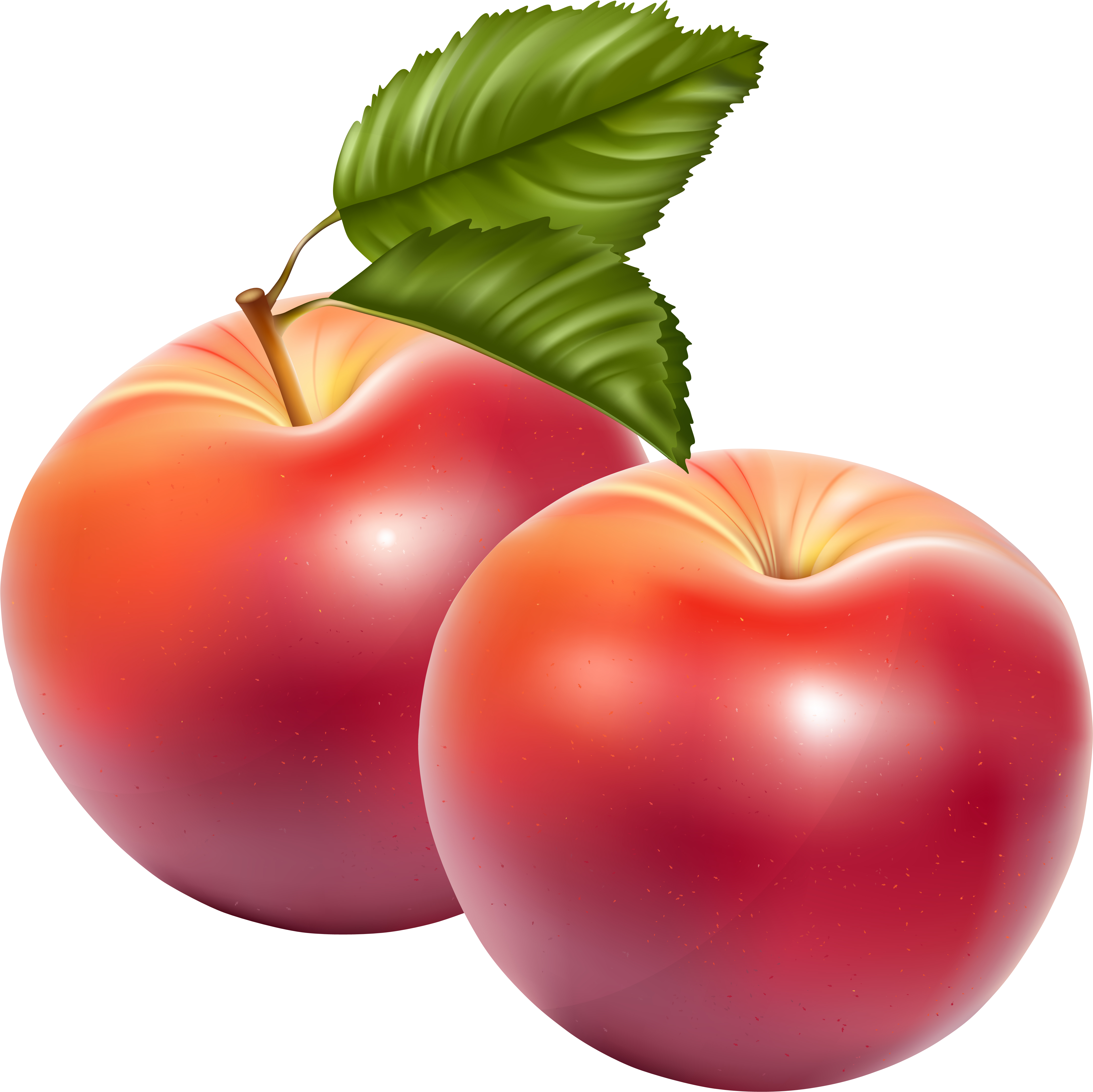 Apple Fruit Png Image - Fruits Png (4800x4742), Png Download