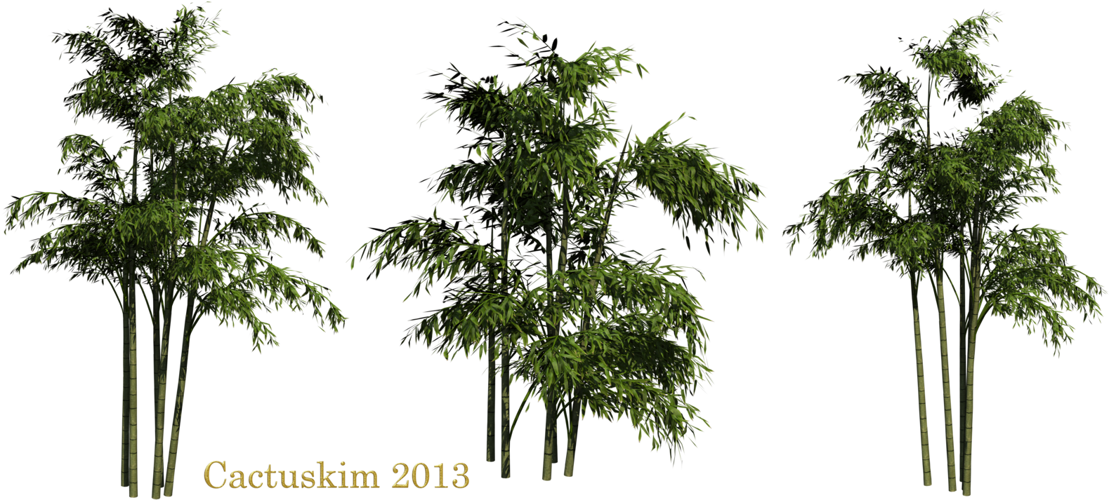 Bamboo Png Clipart - Bamboo Png (1600x715), Png Download