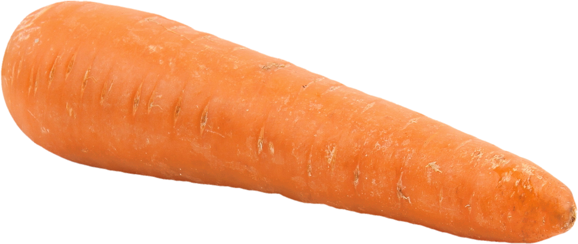 Big Carrot Png - Carrot Png (1024x462), Png Download