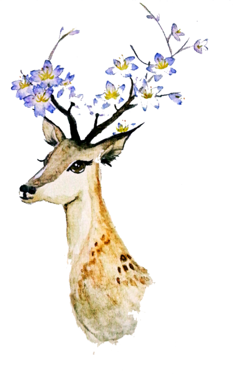 Report Abuse - Deer Watercolor Painting (1024x1483), Png Download
