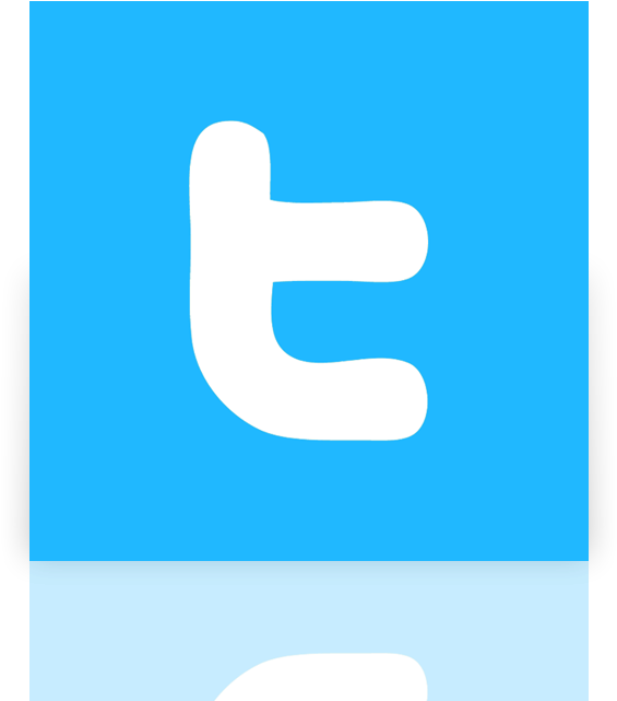 Twitter,alt,mirror - Childhood Obesity Foundation (640x640), Png Download