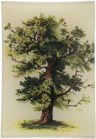 Tree 9 Tree - Hk Living - Kussen Big Oak Tree (500x500), Png Download