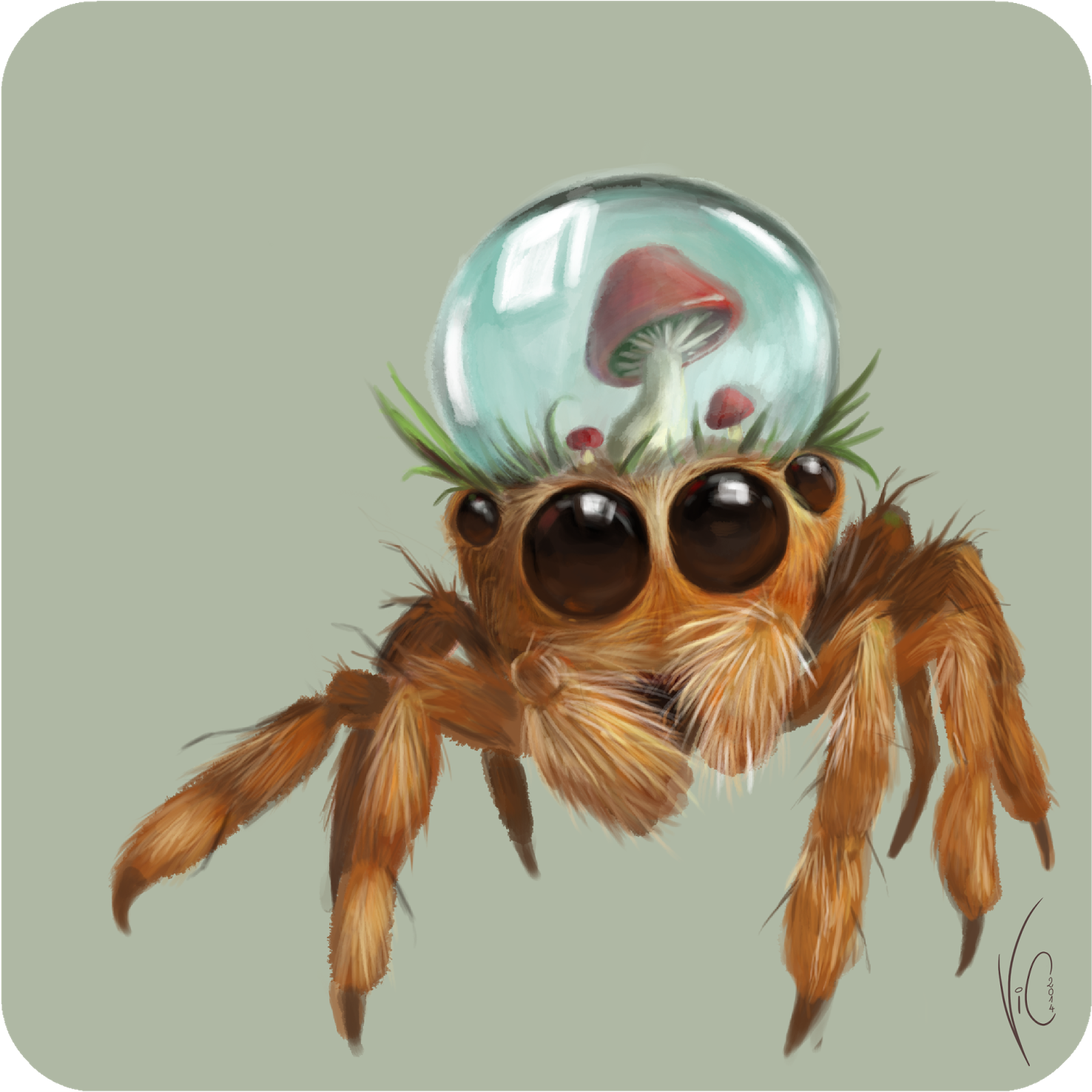 Hybrid Jump Spider By Vicoline Art - Jumping Spider Concept (1572x1600), Png Download