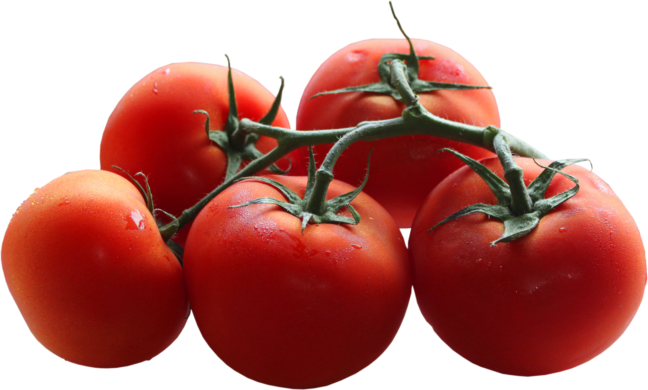 Gallery - Recent Updates - Png Domates (2163x1297), Png Download