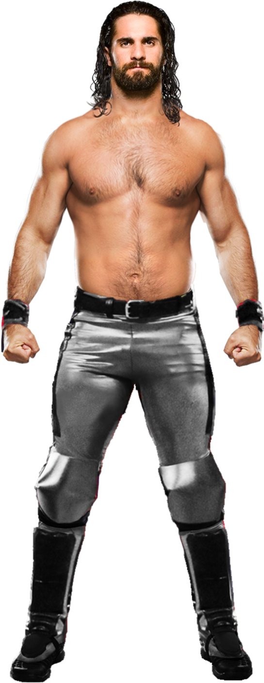 Wwe Champion - Wwe Seth Rollins Render (567x1408), Png Download