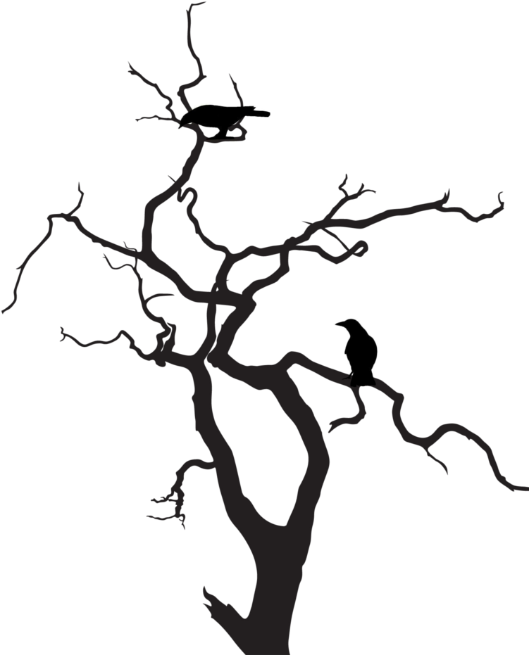 Trees Silhouette Png - Halloween Tree Silhouette Png (768x1024), Png Download