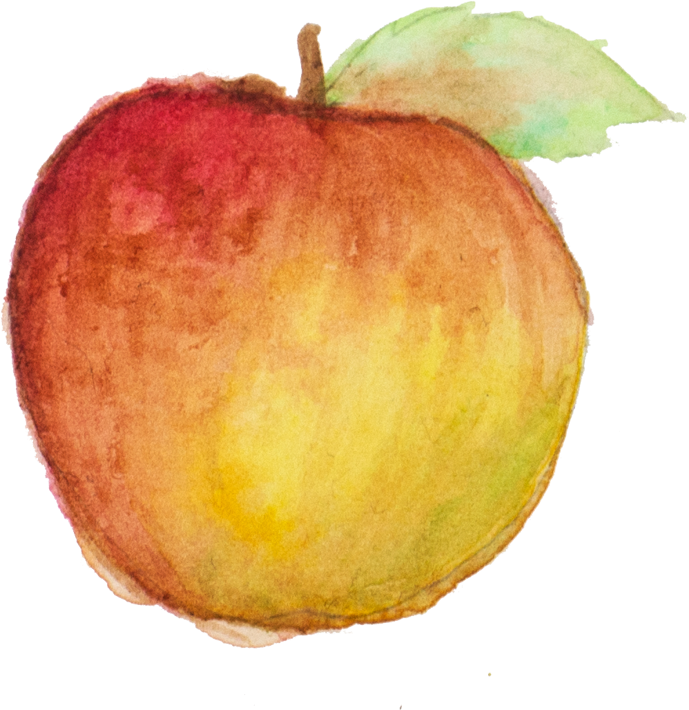 Jonagold - Honey-like Sweetness - Mcintosh (1096x1176), Png Download