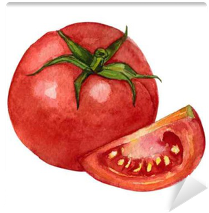 Tomate Gezeichnet (400x400), Png Download