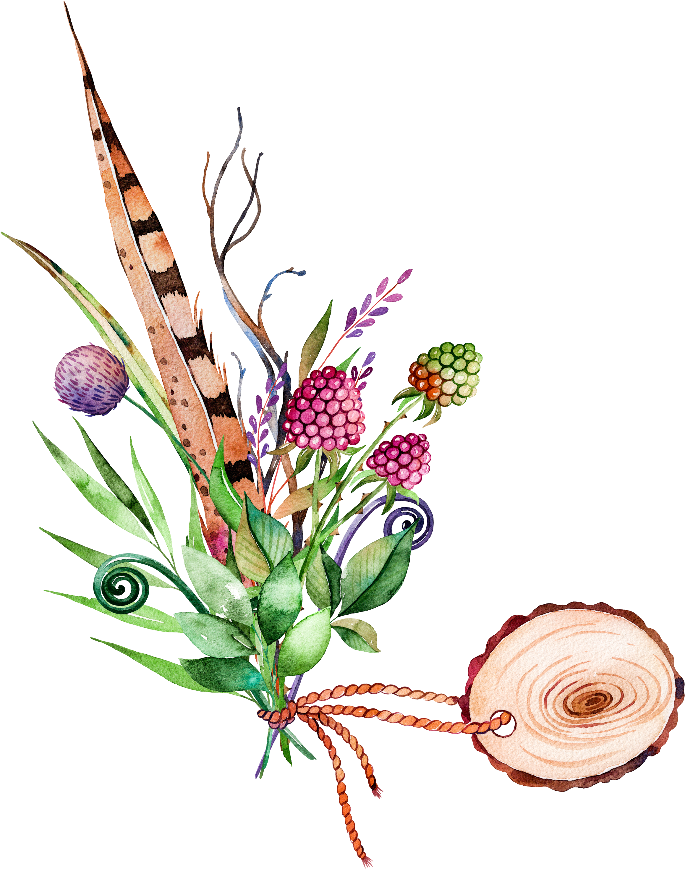Clip Black And White Download Cilantro Drawing Watercolor - Painting Images On Plants (2340x3000), Png Download