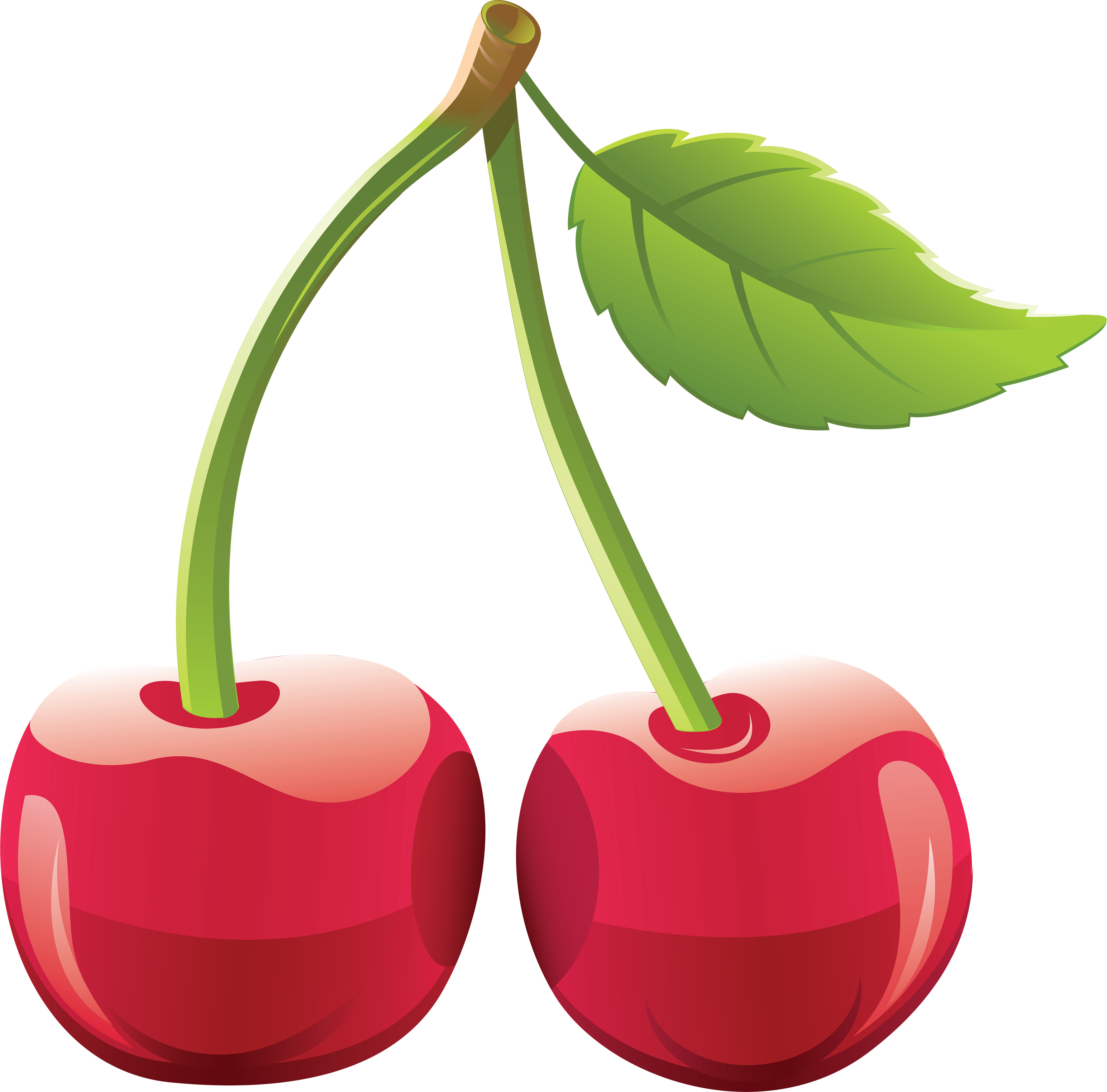 Cherry Png Image - Clip Art Cherry (3553x3504), Png Download