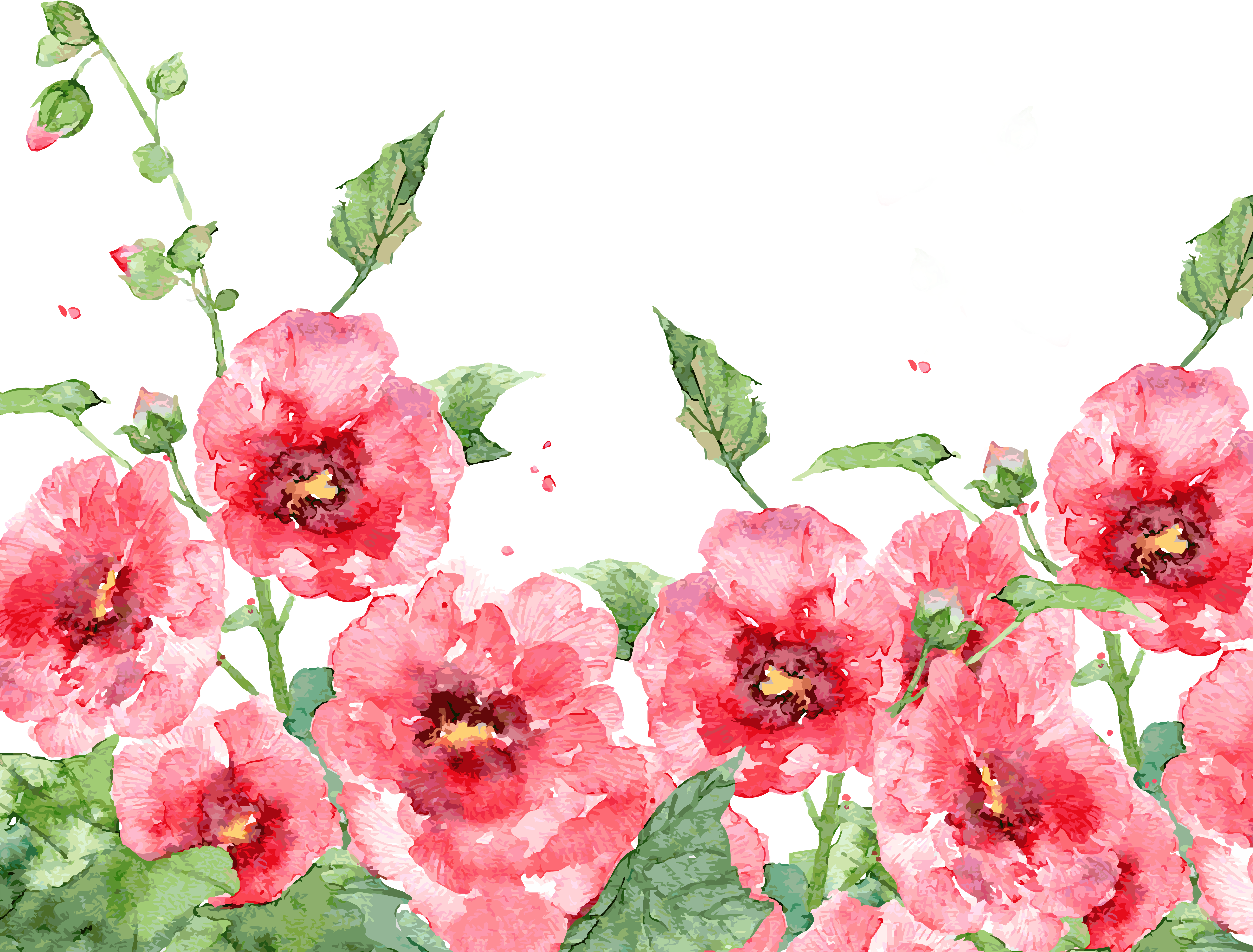Transparent Decoration Of Hand Painted Plants And Flower - Spring Flowers Png (1024x819), Png Download
