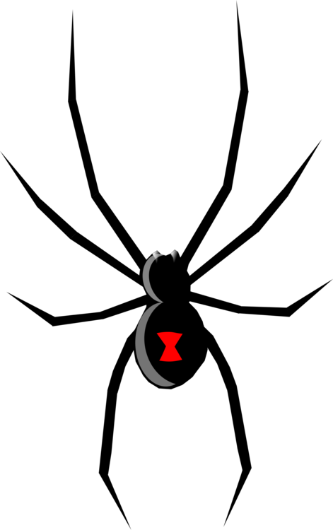 Cartoon Spider Clip Art - Black Widow Spider Logo (372x593), Png Download